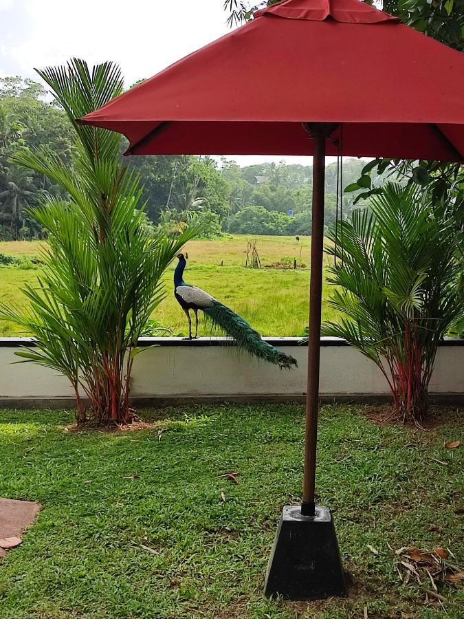 Villa Red Pool Hikkaduwa Exterior foto